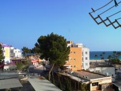 #102 - Apartamento para Alquiler en Magaluf - Baleares - 1