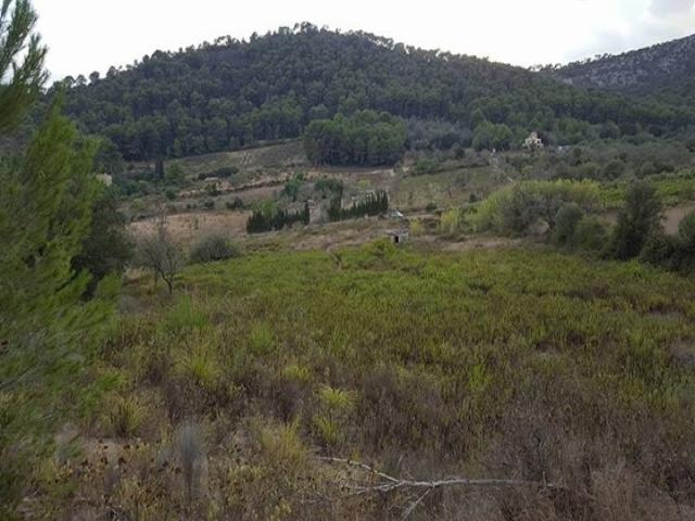 #227 - Terreno para Venta en Algaida - Baleares - 2