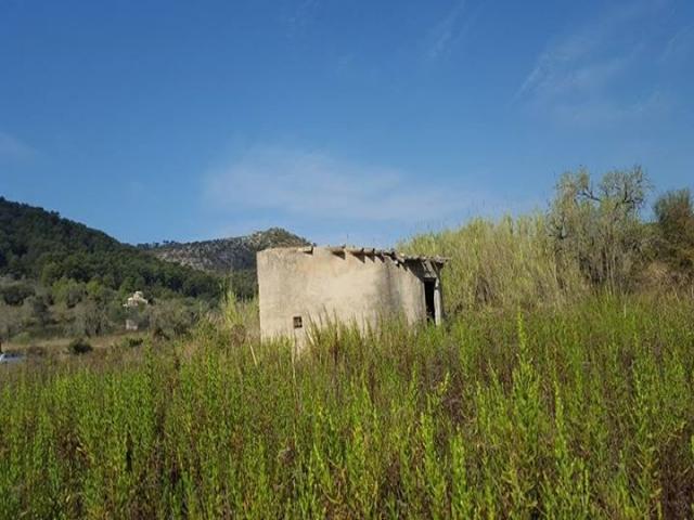 #227 - Terreno para Venta en Algaida - Baleares - 3